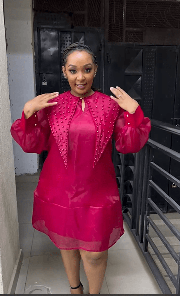 Organza Baby doll Dress