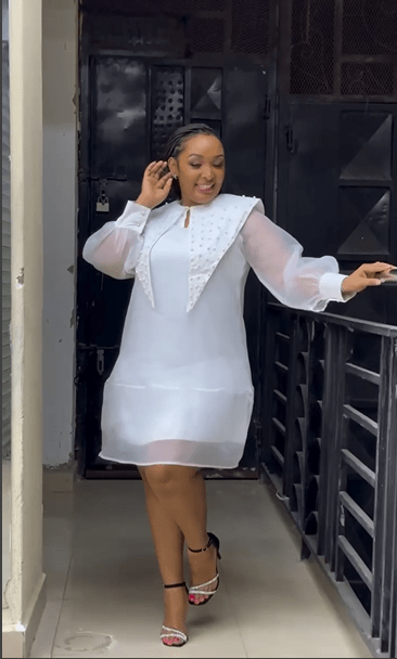 Organza Baby doll Dress