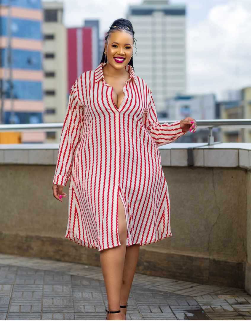 Top-notch Shirt Dress